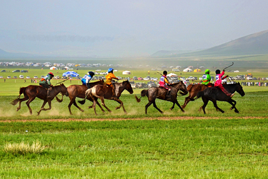 Naadam-horse-race