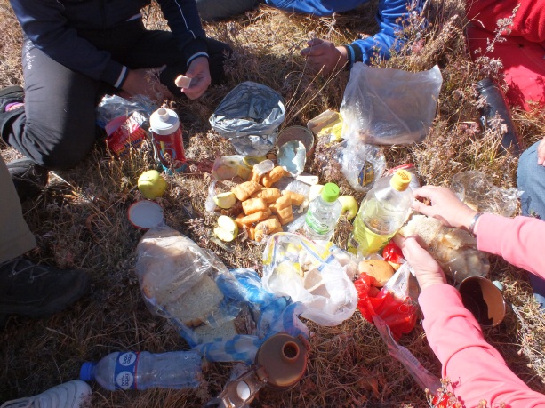 Mongolian picnic