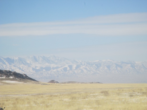 We could see the Altai mountain range (the tallest in Mongolia) over in Govi-Altai