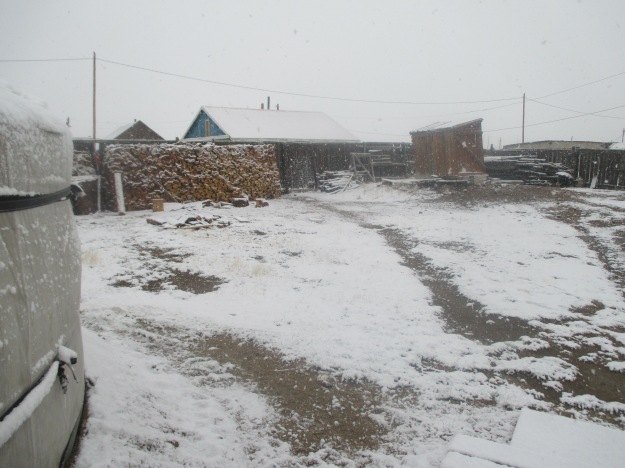 May in Mongolia