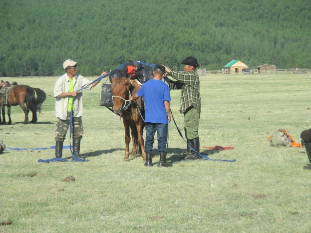 Our guides getting the pack horses ready