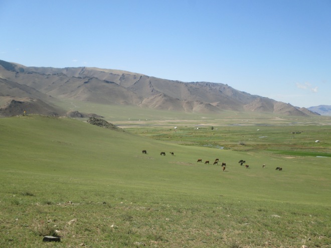 Why yes, I do live in one of the most beautiful places in Mongolia