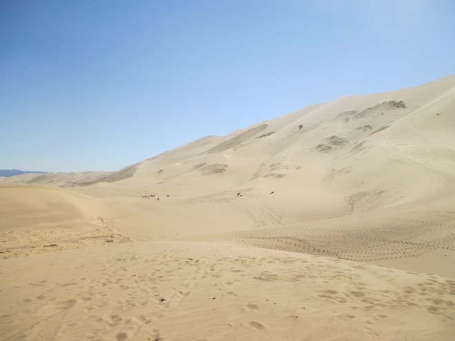 The pictures don't capture just how tall the dunes are; just know that those dots are horses